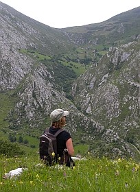 Picos de Europa in June © Teresa Farino